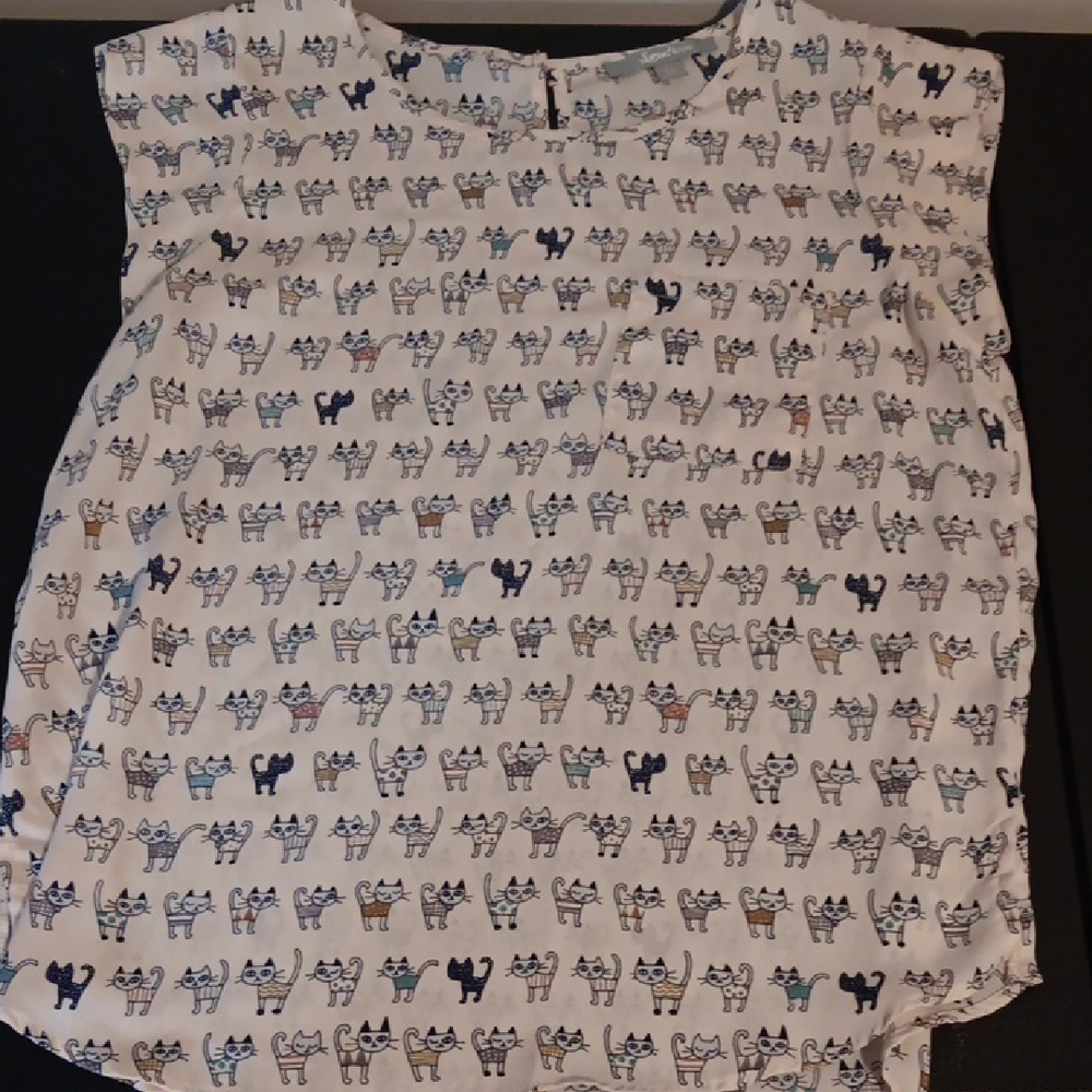Sweet Rain White and Blue Blouse with Relaxed Fit